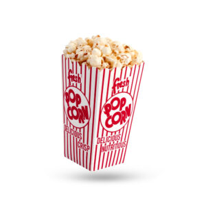 favor popcorn boxes